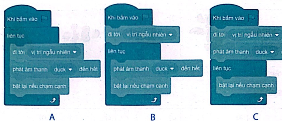 Chương trình nào sau đây thực hiện kịch bản của bạn An ở Câu 5? (ảnh 1)