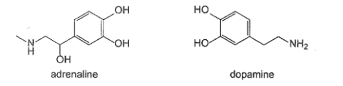 Adrenaline là hormone dẫn truyền thần kinh chủ yếu được tiết ra bởi tuyến thượng (ảnh 1)