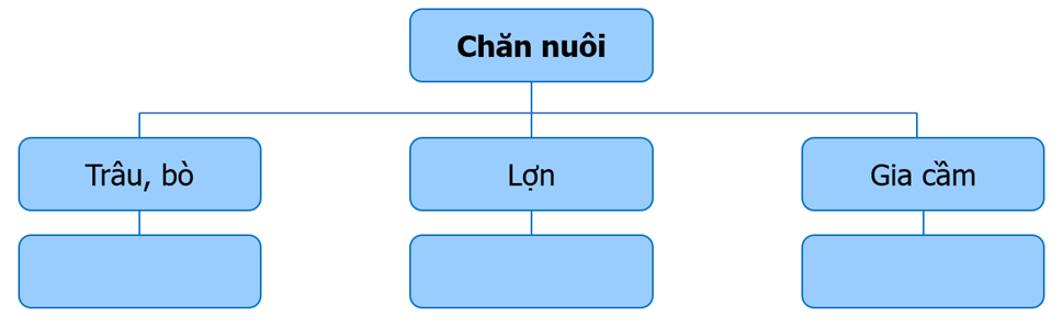 Lập sơ đồ theo gợi ý sau về sự phát triển và phân bố ngành chăn nuôi ở nước ta. (ảnh 1)