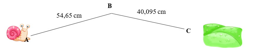 Quãng đường ốc sên đi từ A đến C là:  (ảnh 1)