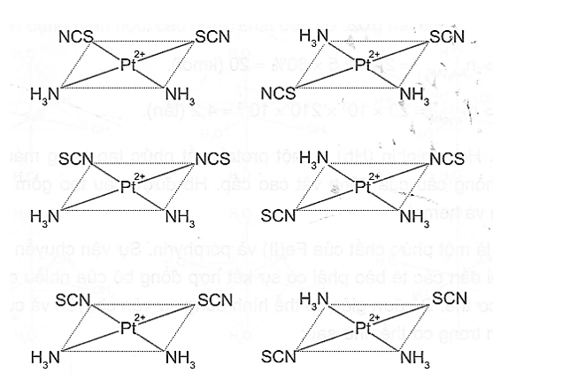 Phức chất [Pt(NH3)2(SCN)2] có hai loại đồng phân (đồng phân cis – trans và đồng phân liên kết).  (ảnh 1)