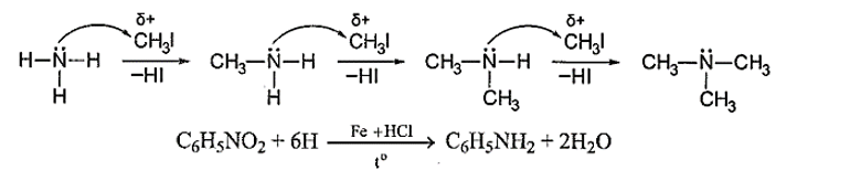 Dưới đây là hai phương pháp điều chế amine: (1) alkyl hoá ammonia và (2) khử hợp chất nitro.  (ảnh 1)