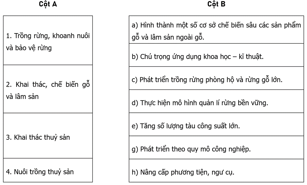 Nối các ý ở cột A với các ý ở cột B cho phù hợp với xu hướng phát triển ngành lâm nghiệp và thuỷ sản ở Bắc Trung Bộ.   (ảnh 1)