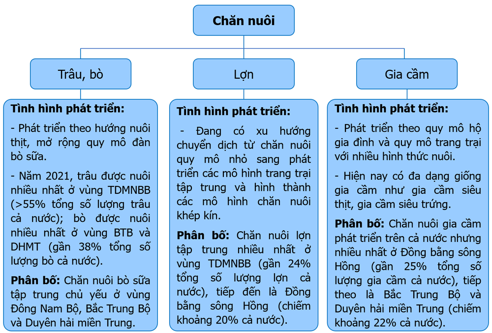 Lập sơ đồ theo gợi ý sau về sự phát triển và phân bố ngành chăn nuôi ở nước ta. (ảnh 2)