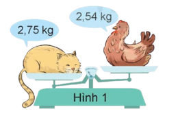 Chiếc bút màu dài:   	A. 0,5 dm	B. 4 dm	C. 5 dm	D. 0,4 dm (ảnh 2)