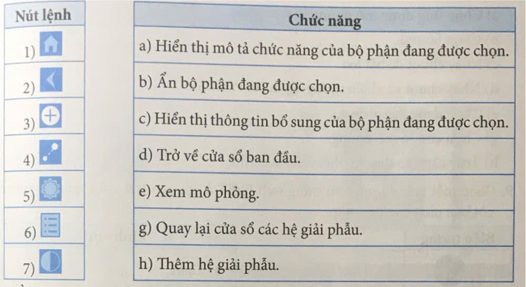 Ghép mỗi nút lệnh trong phần mềm Anatomy ở cột bên trái với một chức năng  ở cột bên phải cho phù hợp: (ảnh 1)