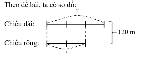 Một khu vườn hình chữ nhật có chu vi là 240 m. Chiều rộng của khu vườn bằng 2/3 chiều dài. Hỏi (ảnh 1)