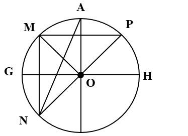 Điền vào chỗ trống.  A) Các bán kính của đường tròn tâm O là:     B) Các đường kính của đường  (ảnh 1)