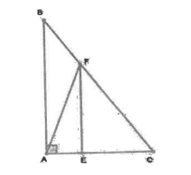 Cho tam giác ABC vuông ở A. Hai cạnh kề với góc vuông là AC dài 12cm và AB dài (ảnh 1)