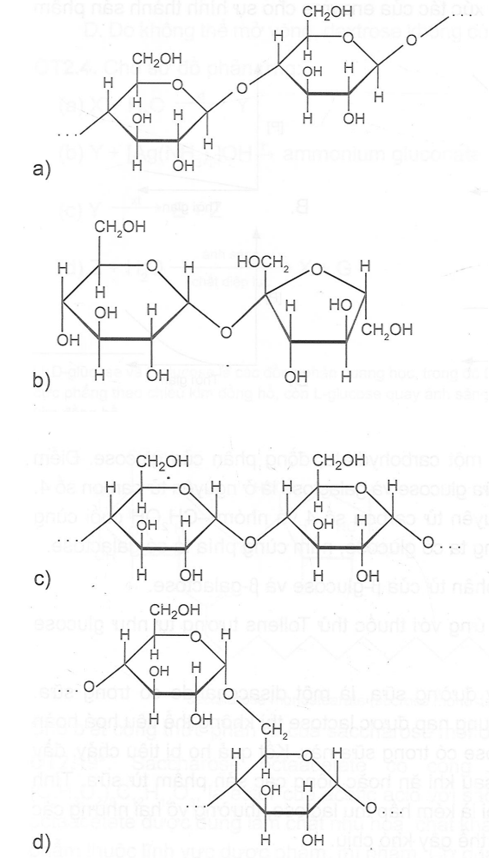 Cho biết tên của loại liên kết giữa 2 đơn vị monosaccharide đã nêu trong các chuỗi mắt xích hoặc phân tử sau: (ảnh 1)