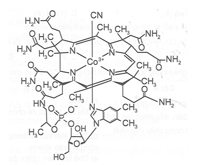 Vitamin B12 có công thức cấu tạo được mô tả như hình dưới.  (ảnh 1)