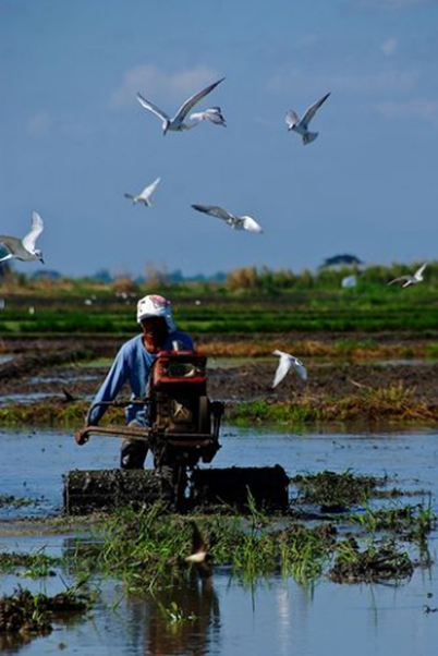 Dựa vào bức tranh dưới đây, em hãy đặt một câu có sử dụng trạng ngữ chỉ thời gian và một câu có sử dụng trạng ngữ chỉ nơi chốn: (ảnh 1)