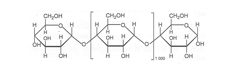 Quan sát cấu trúc một phân tử tinh bột dưới đây, ta thấy mỗi phân tử tinh bột có chứa một (ảnh 1)