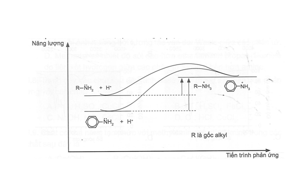 Giản đồ năng lượng của 2 amine khi proton hoá như hình dưới. Dựa vào giản (ảnh 1)