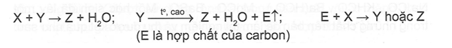 Cho các sơ đồ chuyển hóa sau:   Biết X, Y, Z là hợp chất của cùng một kim loại, khi đốt nóng  (ảnh 1)