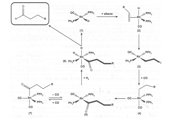Nguyên tử trung tâm trong xúc tác Wilkinson là của nguyên tố nào? (ảnh 1)