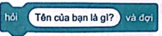 Em hãy chọn câu đúng trong các câu sau đây.  A. Trong Scratch, ngoài biến có sẵn là biến, em không thể tạo biến khác với tên tự đặt.  B. Các lệnh về biến được đặt trong nhóm lệnh Các biến số.  C. Sử dụng lệnh để nhập thông tin từ bàn phím.  D. Để tạo biến, em sử dụng lệnh và đặt tên cho biến (ảnh 2)