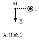  Hình vẽ nào dưới đây xác định không đúng hướng của vectơ (ảnh 1)