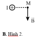  Hình vẽ nào dưới đây xác định không đúng hướng của vectơ (ảnh 2)