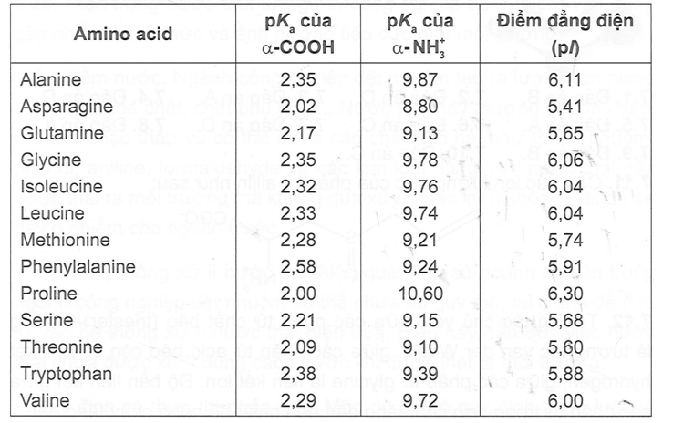 Đối với các amino acid có chuỗi bên trung tính, pl có thể được tính bằng cách lấy trung bình (ảnh 2)