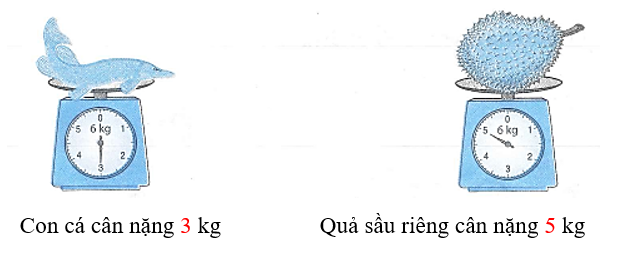 Số?   Con cá cân nặng   kg		Quả sầu riêng cân nặng  kg (ảnh 2)