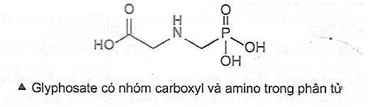 Thuốc diệt cỏ glyphosate được sử dụng cho những cánh đồng bỏ hoang, các loại cây trồng (ảnh 1)