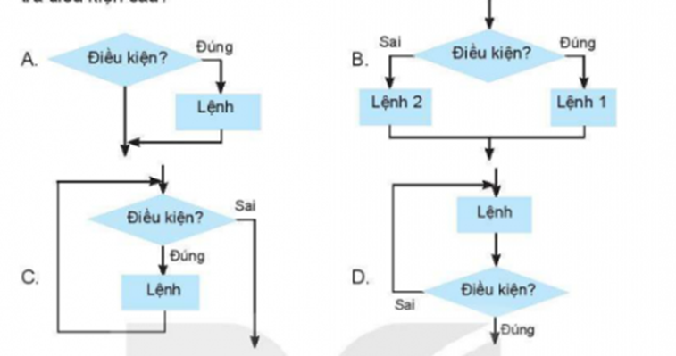 Câu 22. Trong các sơ đồ khối sau, sơ đồ khối nào thể hiện cấu trúc lặp kiểm tra điều kiện sau? (ảnh 1)