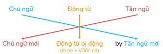 The bus driver took the tourists to the hotel.  A. The tourists are taken to the hotel by the bus driver.  B.The tourists were taken to the hotel by the bus driver.  C. The tourists were being taken to the hotel by the bus driver.  D. The tourists have been taken to the hotel by the bus driver.  (ảnh 1)