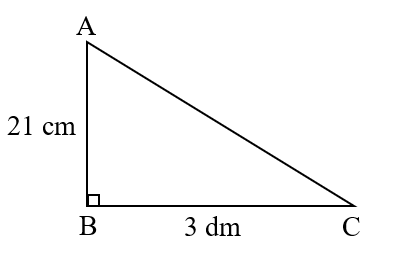 Điền số thích hợp vào ô trốngTính diện tích hình tam giác sauACB3 dm21 cmACB3 dm21 cmTrả lời: Diện tích hình tam giác trên là …… cm2 (ảnh 1)