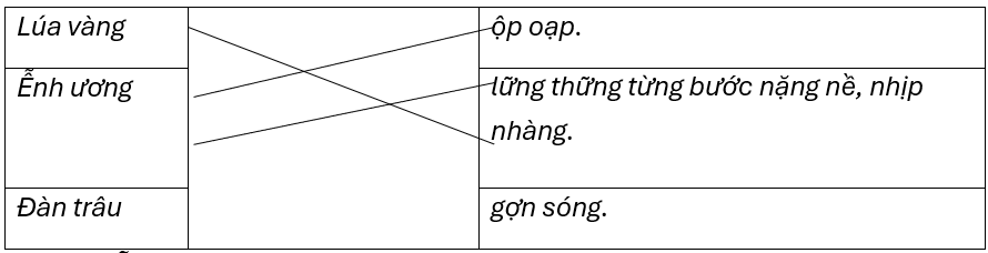 Nối sự vật với đặc điểm tương ứng.Lúa vàngộp oạp.Ễnh ươnglững thững từng bước nặng nề, nhịp nhàng.Đàn trâugợn sóng.Đáp án:Lúa vàngộp oạp.Ễnh ươnglững thững từng bước nặng nề, nhịp nhàng.Đàn t (ảnh 1)