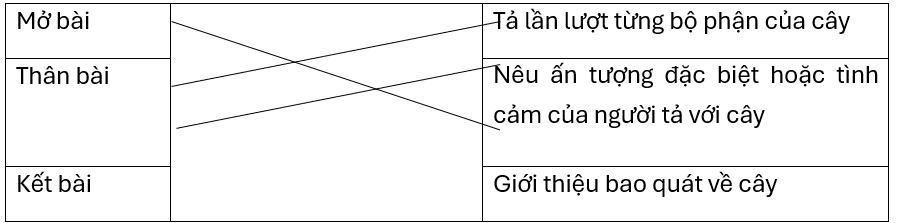 Nối các phần của bài văn miêu tả cây cối với nội dung chính.Mở bàiTả lần lượt từng bộ phận của câyThân bàiNêu ấn tượng đặc biệt hoặc tình cảm của người tả với câyKết bàiGiới thiệu bao quát về (ảnh 1)