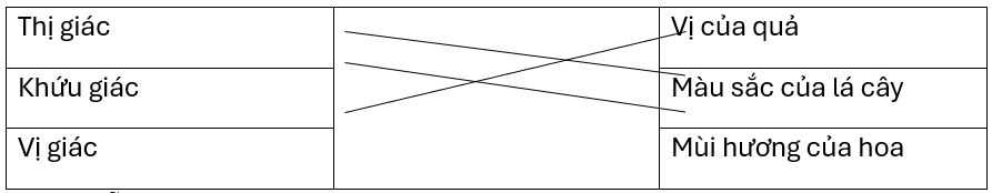 Nối giác quan với chi tiết, bộ phận của cây cần quan sát.Thị giácVị của quảKhứu giácMàu sắc của lá câyVị giácMùi hương của hoa (ảnh 1)