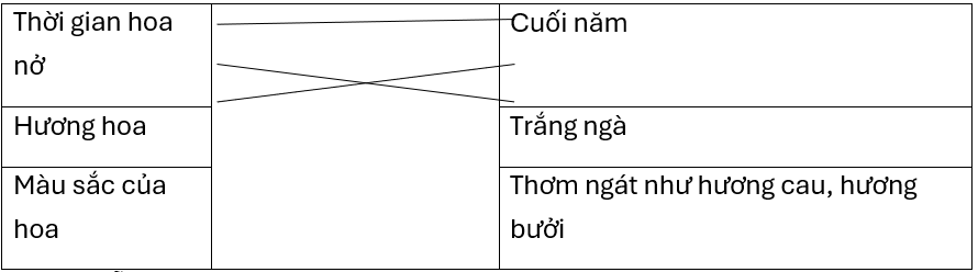 Nối để thấy được đặc điểm của hoa sầu riêng.Hoa sầu riêng trổ vào cuối năm. Gió đưa hương thơm ngát như hương cau, hương bưởi toả khắp khu vườn. Hoa đậu từng chùm, màu trắng ngà. Cánh hoa nhỏ (ảnh 1)