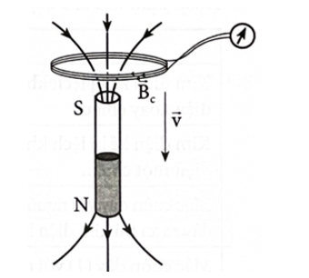 Nối hai đầu cuộn dây dẫn kín với điện kế và cho chuyển động rơi tự do qua một nam châm (Hình vẽ). Biết (ảnh 1)