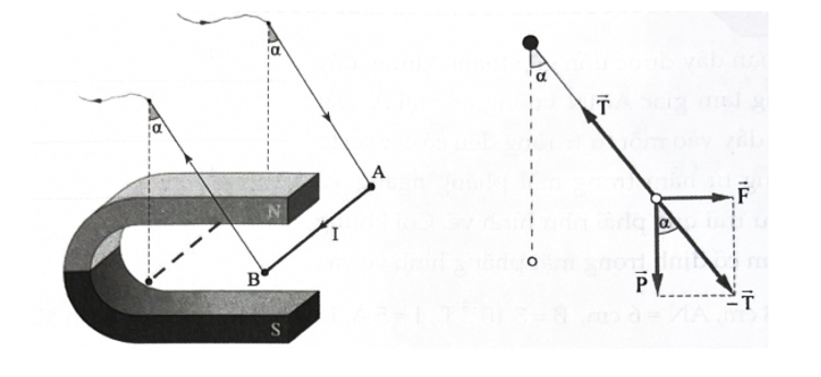 Giữa hai cực của một nam châm hình chữ U có một từ trường đều. Vectơ cảm ứng từ thẳng đứng (ảnh 1)