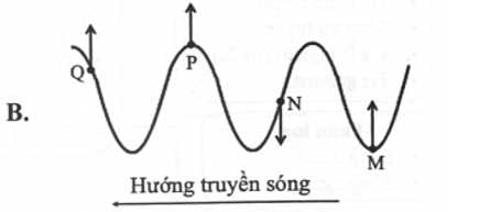 Trong các hình vẽ dưới đây, mũi tên biểu diễn hướng chuyển động của các phần tử M, N, P, Q  (ảnh 2)