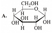 Ở trạng thái rắn, glucose chủ yếu tồn tại ở dạng mạch vòng beta (ảnh 1)