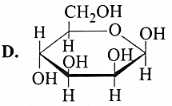 Ở trạng thái rắn, glucose chủ yếu tồn tại ở dạng mạch vòng beta (ảnh 4)