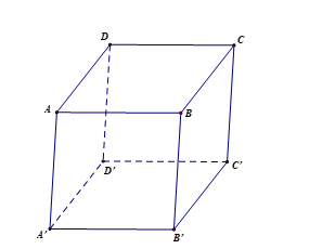 Cho hình hộp chữ nhật \(ABCD.A'B'C'D'\). Khi đó, vectơ bằng vectơ \( {AB} \) là vectơ nào dưới đây? (ảnh 1)