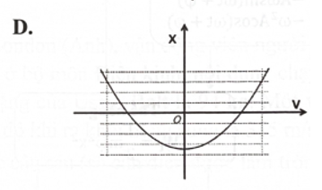 Gọi x và v lần lượt là li độ và vận tốc của một dao động điều hoà. Đồ thị nào sau đây  (ảnh 4)