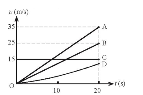 Hình vẽ mô tả đồ thị (v – t) của bốn xe ô tô A, B, C, D. Nhận định nào sau đây là đúng? (ảnh 1)