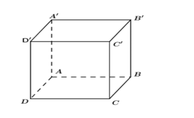 Cho hình hộp \[ABCD.A'B'C'D'\]. Vectơ nào dưới đây cùng phương với vectơ \[ {AB} \]? (ảnh 1)