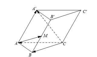 Cho hình lăng trụ \(ABC.A'B'C'\), \(M\) là trung điểm của \(BB'\). Đặt \({CA}  (ảnh 1)