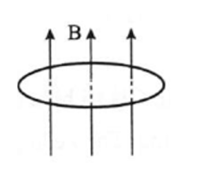 Một vòng dây dẫn phẳng có diện tích \(S = 160\;{\rm{c}}{{\rm{m}}^2}\) được đặt vuông góc với cảm ứng từ trong một (ảnh 1)