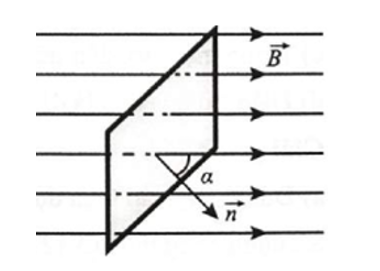 Một mặt có diện tích \(S = 4,0{\rm{d}}{{\rm{m}}^2}\) được đặt trong từ truờng đều và tạo với cảm ứng từ góc (ảnh 1)