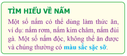 Câu 1. (1,0 điểm) (M3) Theo em, văn bản ở hình dưới đây là kết quả thực hiện các lệnh định dạng nào? (ảnh 1)