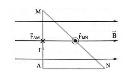 Một đoạn dây được uốn gập thành khung dây có dạng tam giác AMN vuông góc tại A. Đặt khung dây vào (ảnh 2)