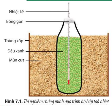 Việc cho hai bình chứa hạt vào 2 hộp nhựa hoặc thùng xốp chứa mùn cưa nhằm (ảnh 1)