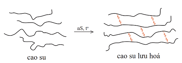 Trong các phản ứng sau, phản ứng nào làm tăng mạch polymer? (ảnh 1)