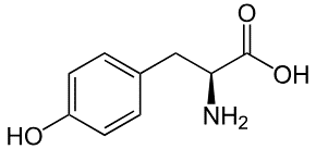 Phát biểu nào sau đây là không đúng? (ảnh 1)